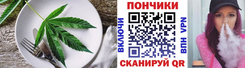 где купить наркоту  Шенкурск  МЕГА ссылка  Печенье с ТГК конопля 