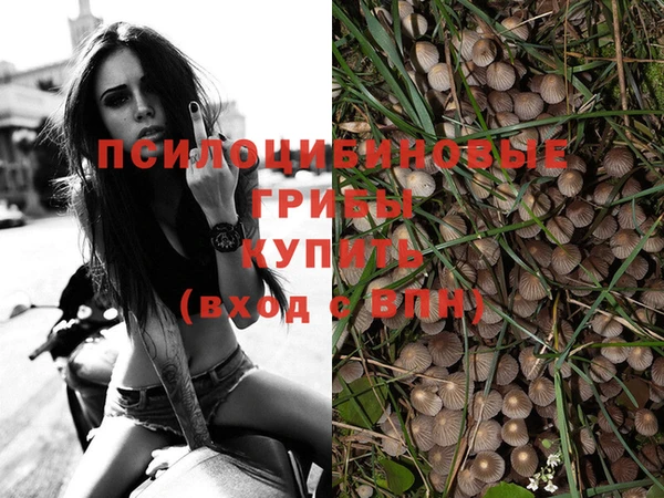 кокаин Абинск
