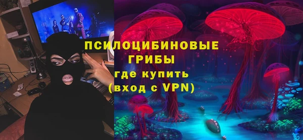 apvp Абаза