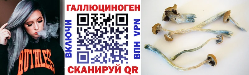 Галлюциногенные грибы GOLDEN TEACHER Шенкурск